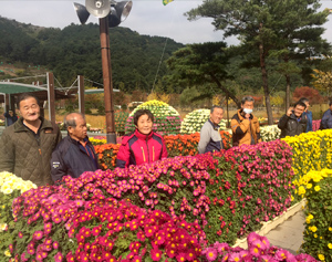 지역사회축제참여